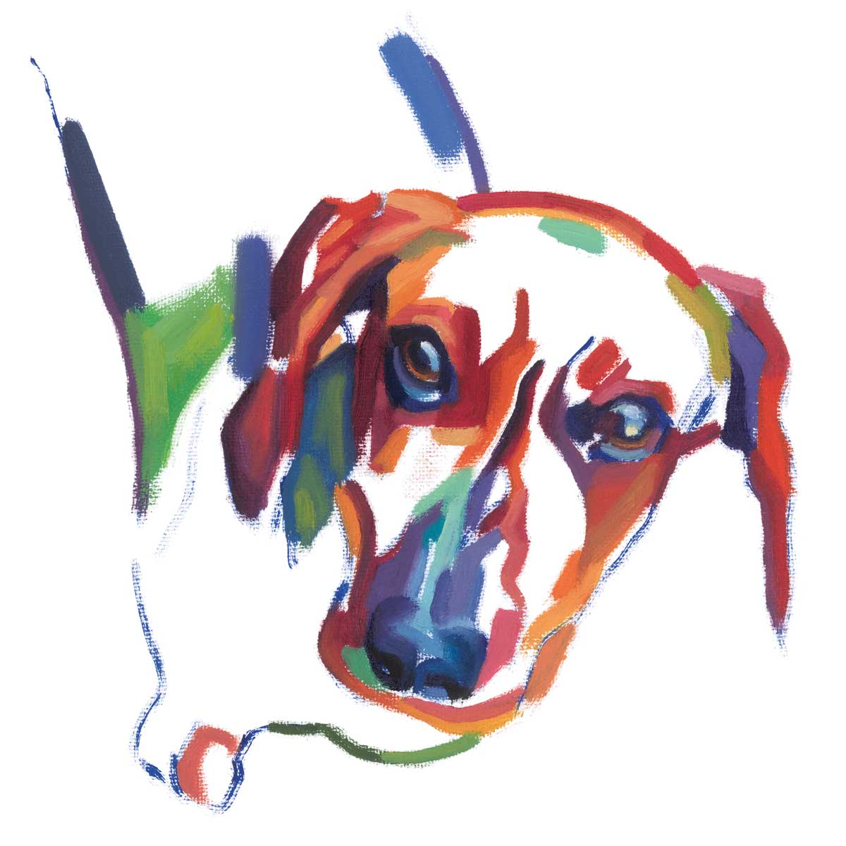 Dachshund by artist  Andrew Talbot