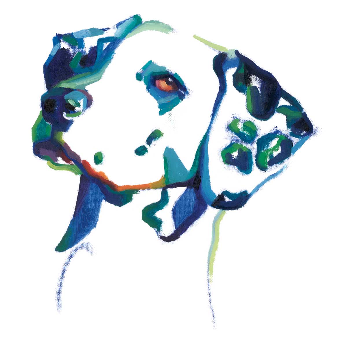 Dalmatian by artist  Andrew Talbot