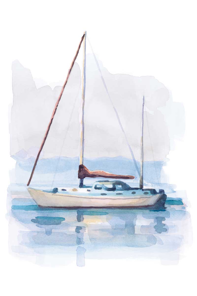 Sea of Cortez by artist  Andrew Talbot