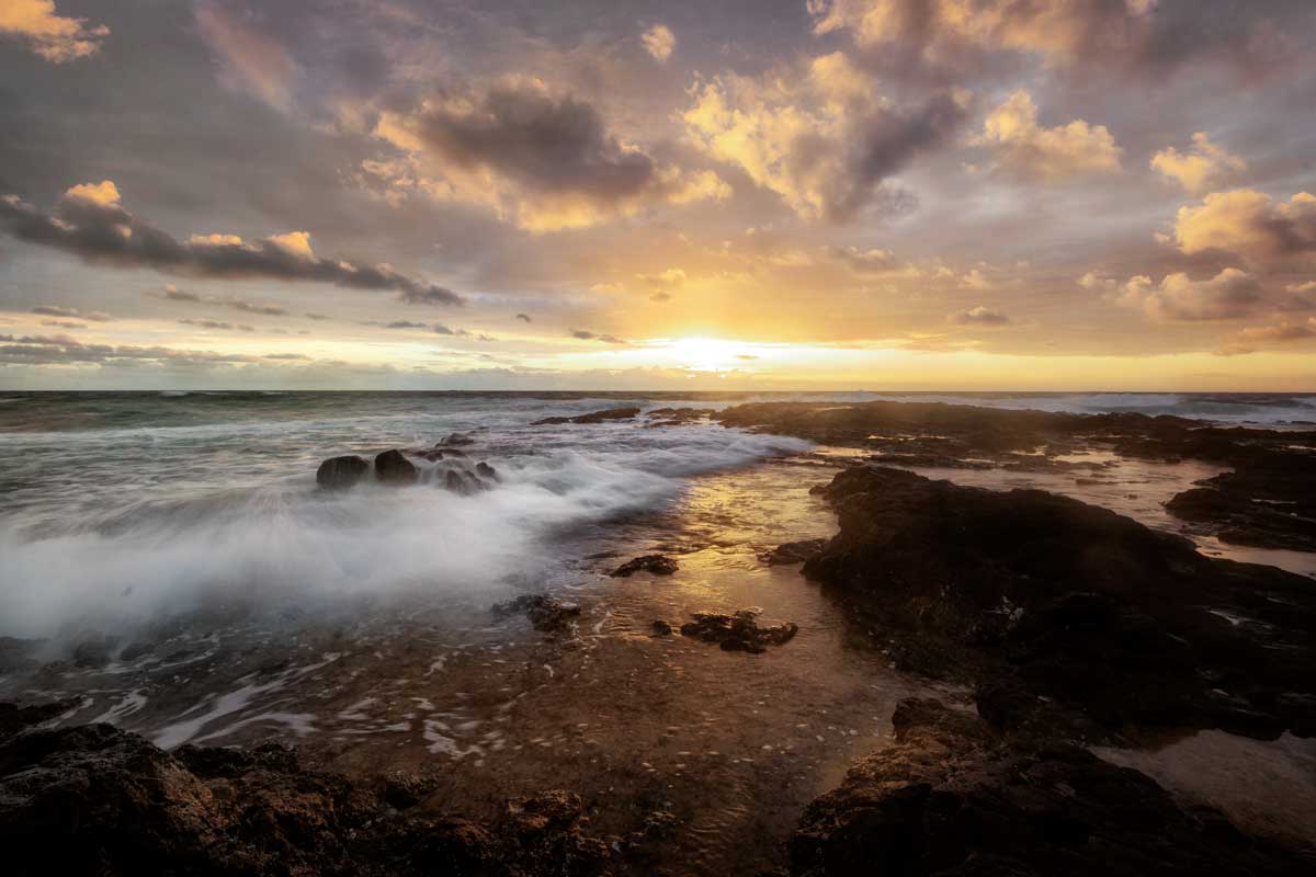 Golden Surf by artist  D. Burt