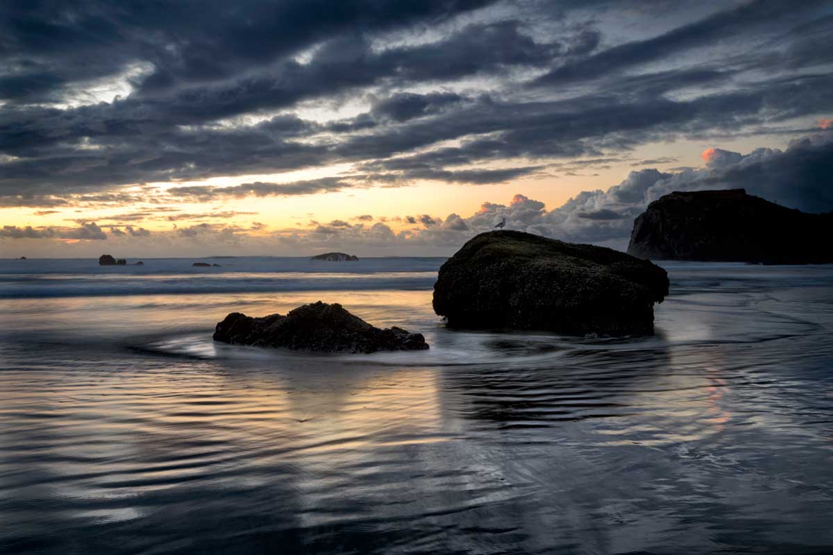 Shore Watch by artist  D. Burt