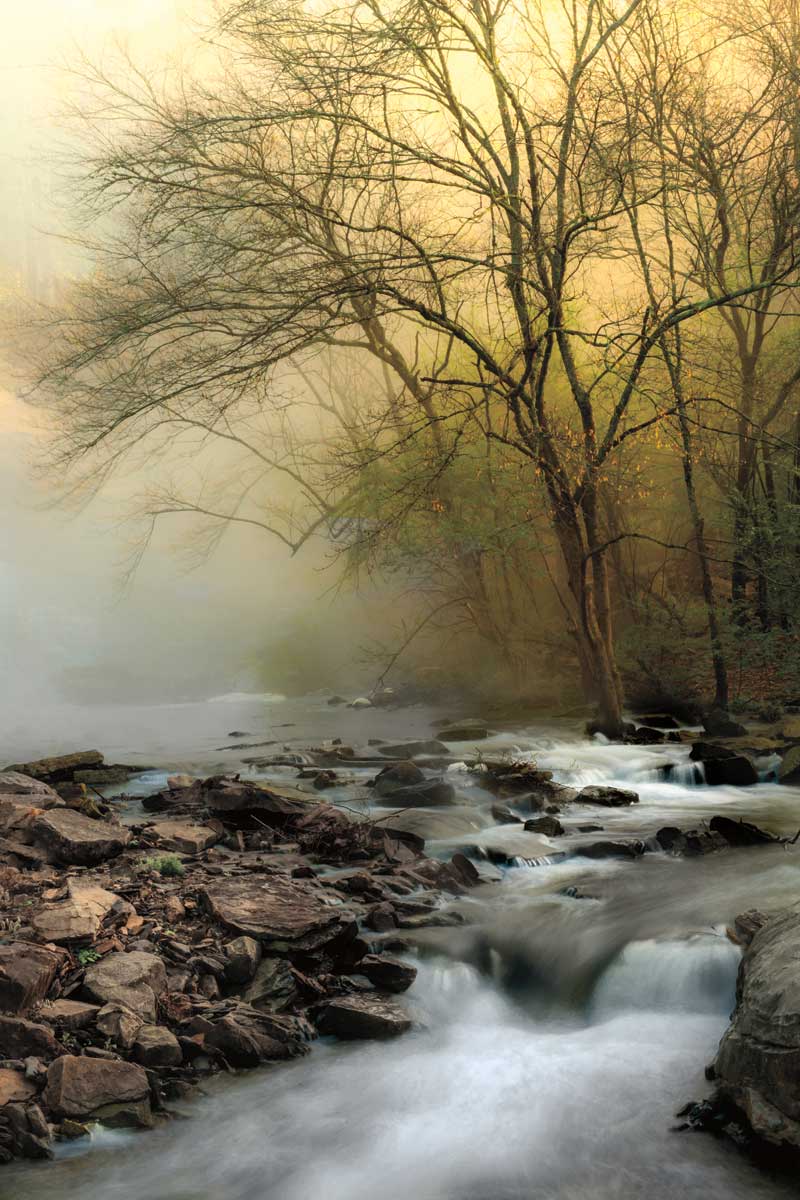 One Spring Morning by artist  D. Burt