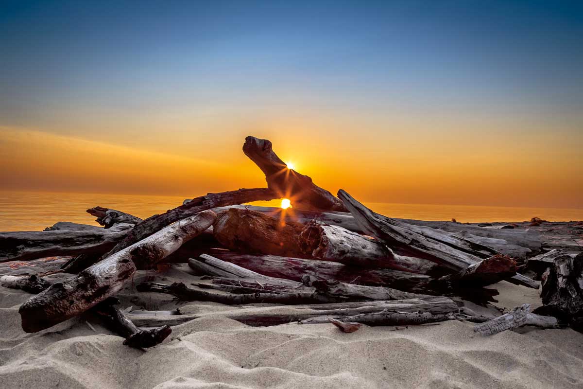 Double Impact by artist  Gail Howarth