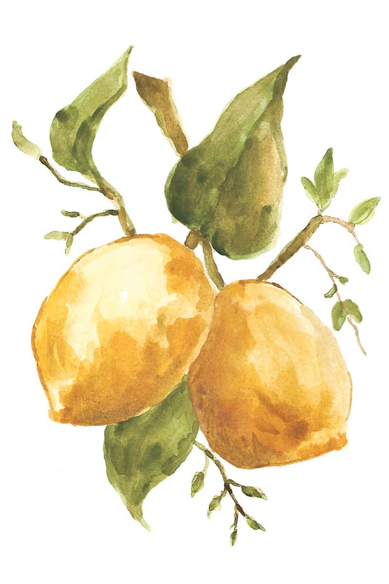 Farmhouse Kitchen I by artist  Yvette St. Amant