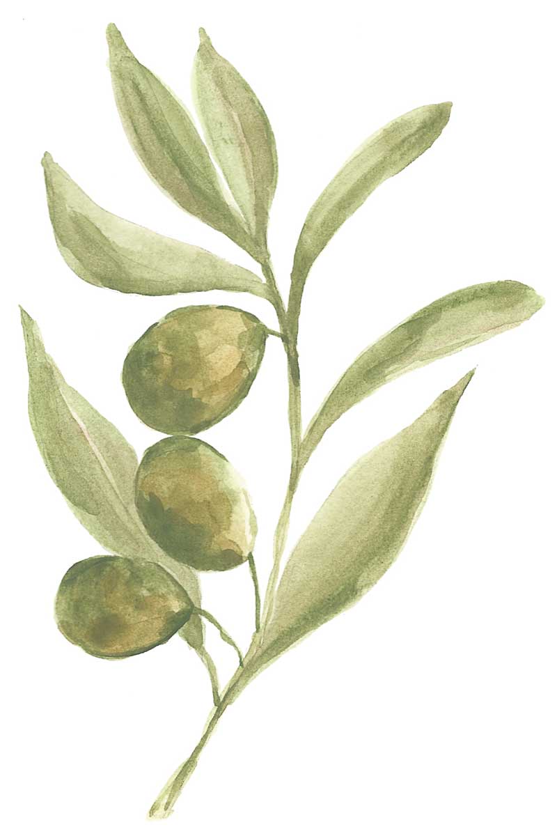 Farmhouse Kitchen III by artist  Yvette St. Amant