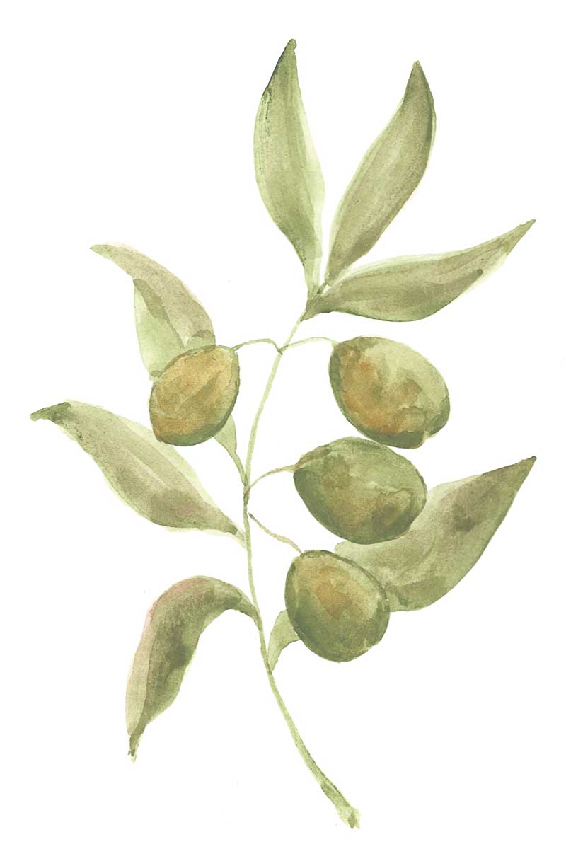 Farmhouse Kitchen IV by artist  Yvette St. Amant