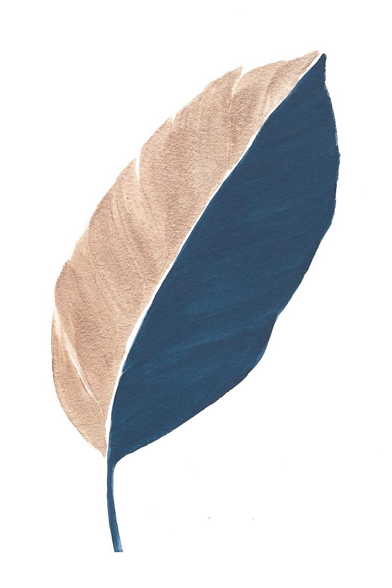 Modern Leaf IV by artist  Yvette St. Amant