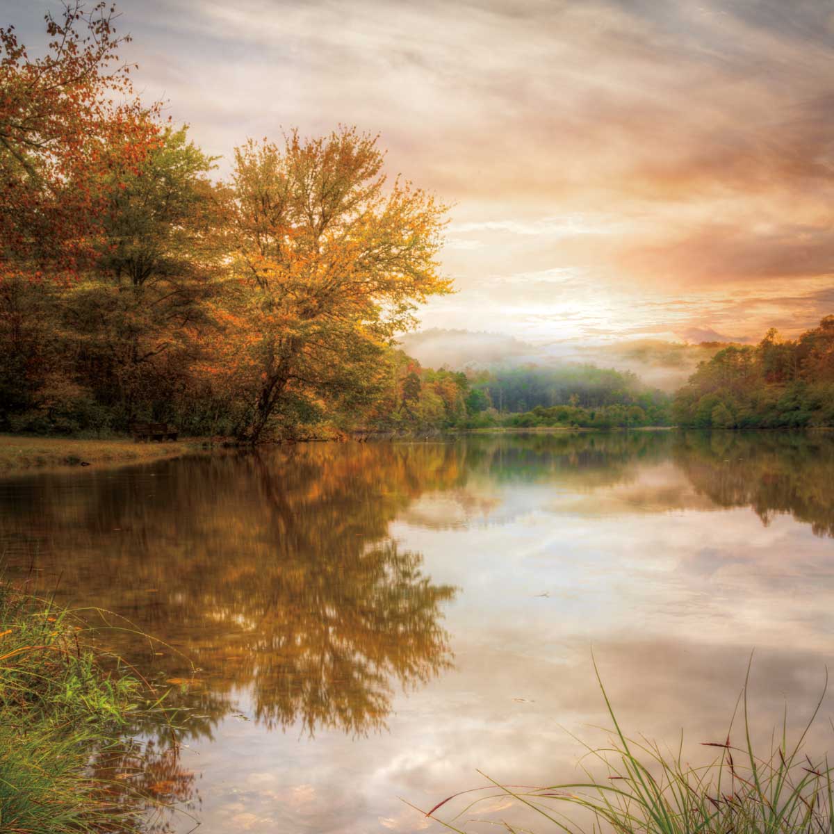 Fallen Leaves by artist  Celebrate Life Gallery