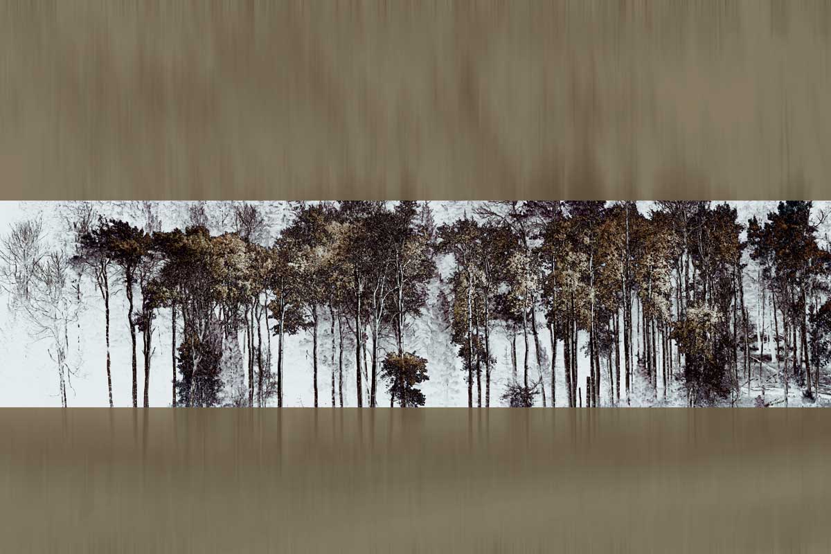 Golden Faith I by artist  Roy Hoh