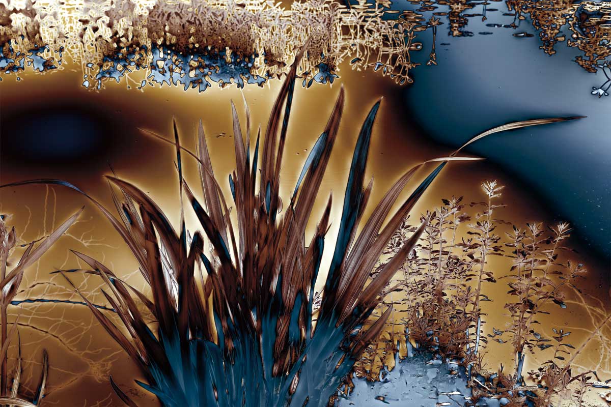 Golden Faith II by artist  Roy Hoh