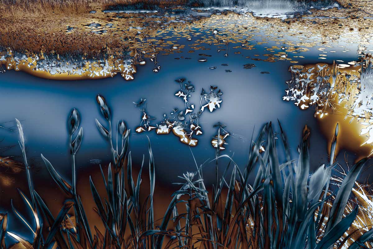 Lentic Dream I by artist  Roy Hoh