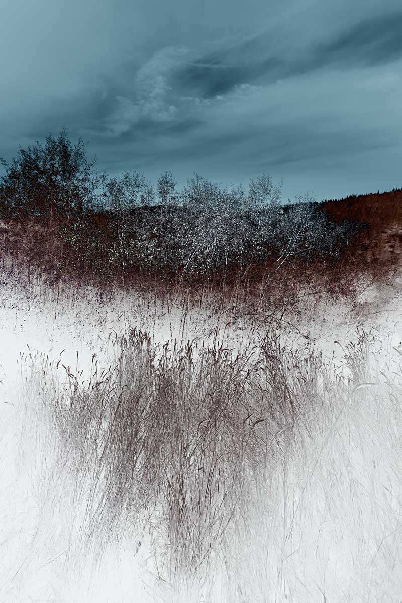 Lentic Dream II by artist  Roy Hoh