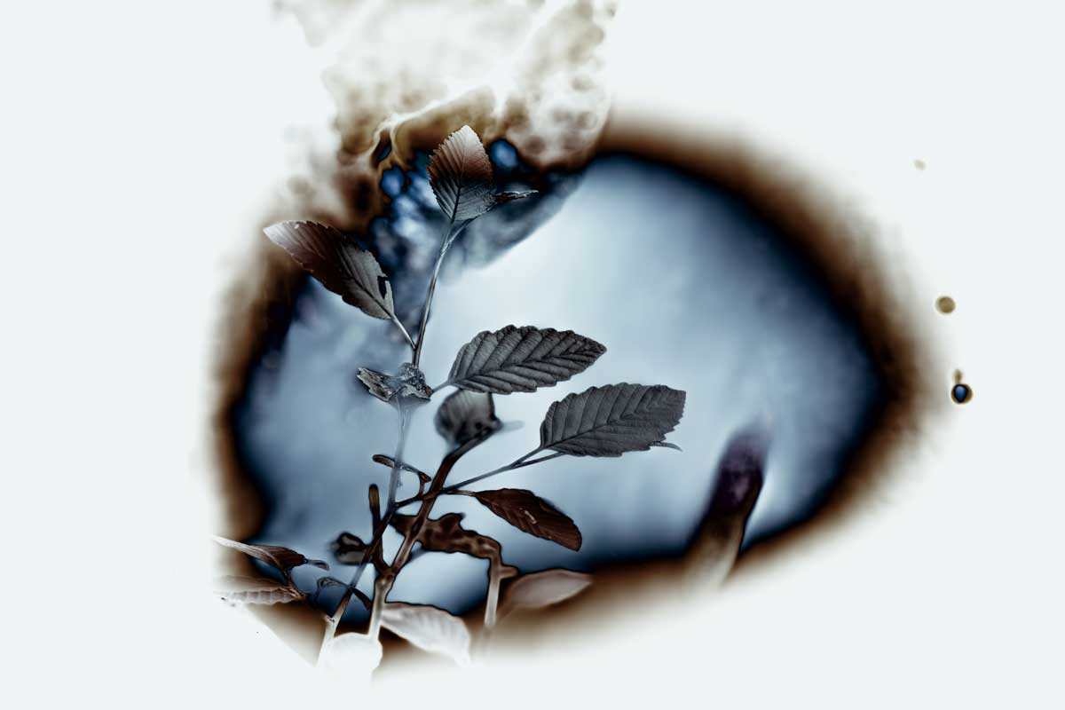 Last Romance by artist  Roy Hoh