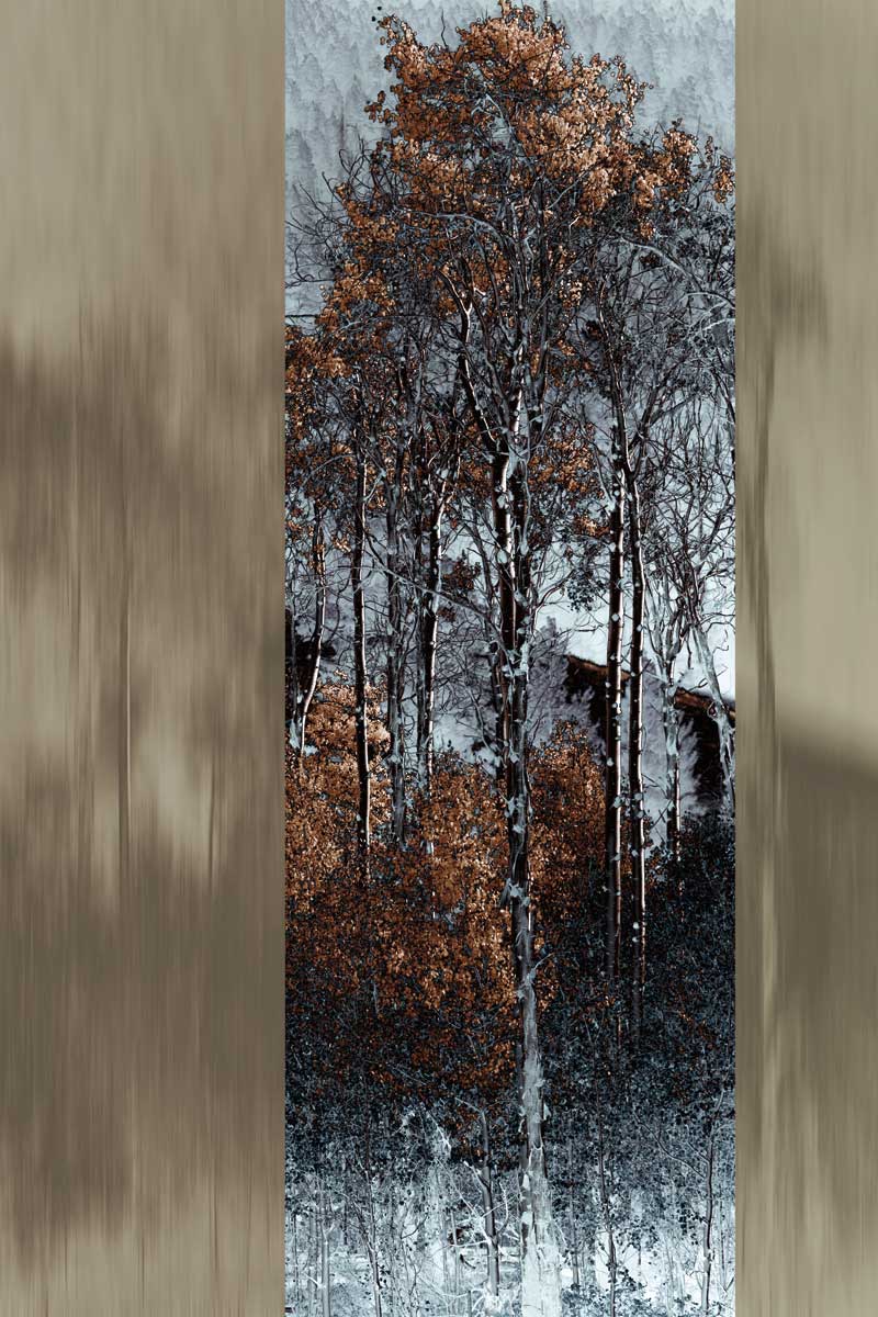 Forgotten Memories¬† by artist  Roy Hoh