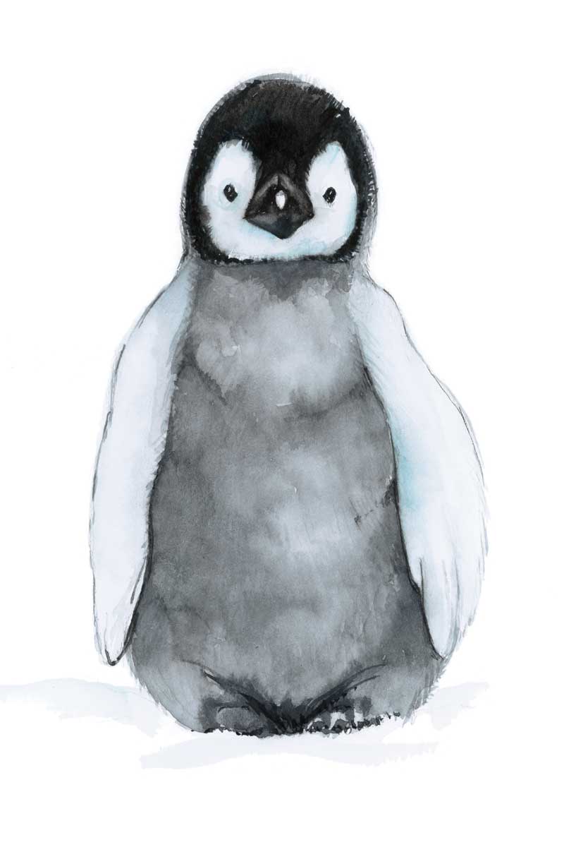 Baby Penguin by artist  Elena Markelova