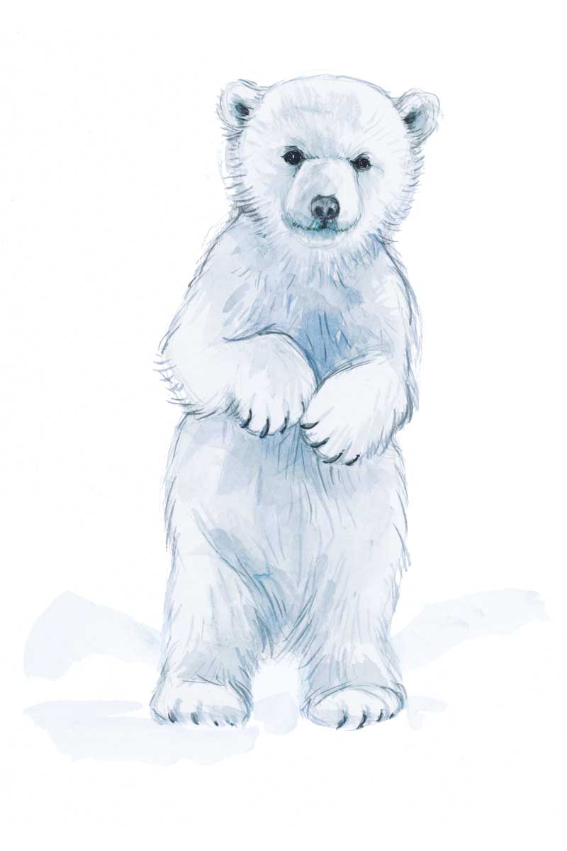 Baby Polar Bear by artist  Elena Markelova