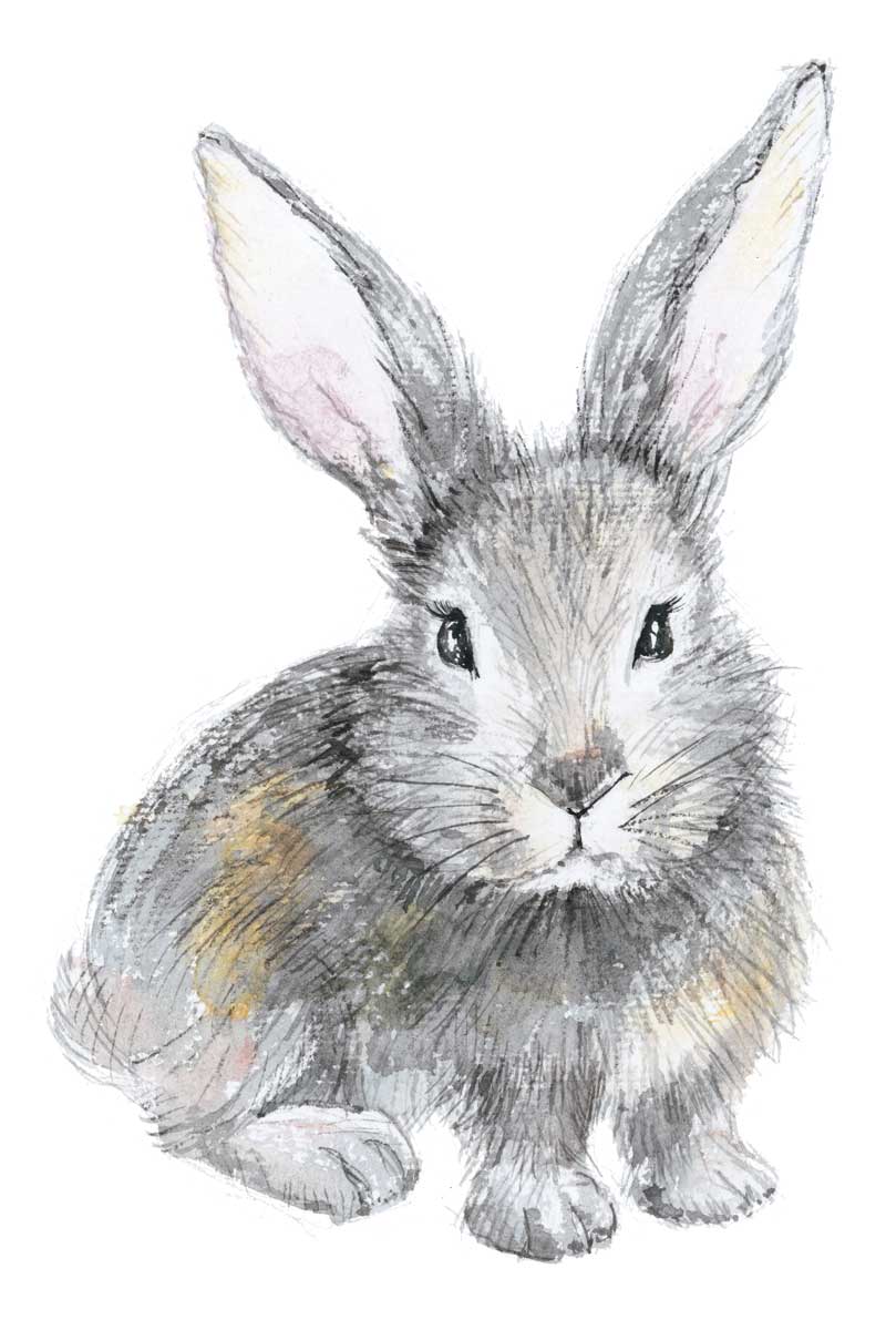 Baby Rabbit by artist  Elena Markelova