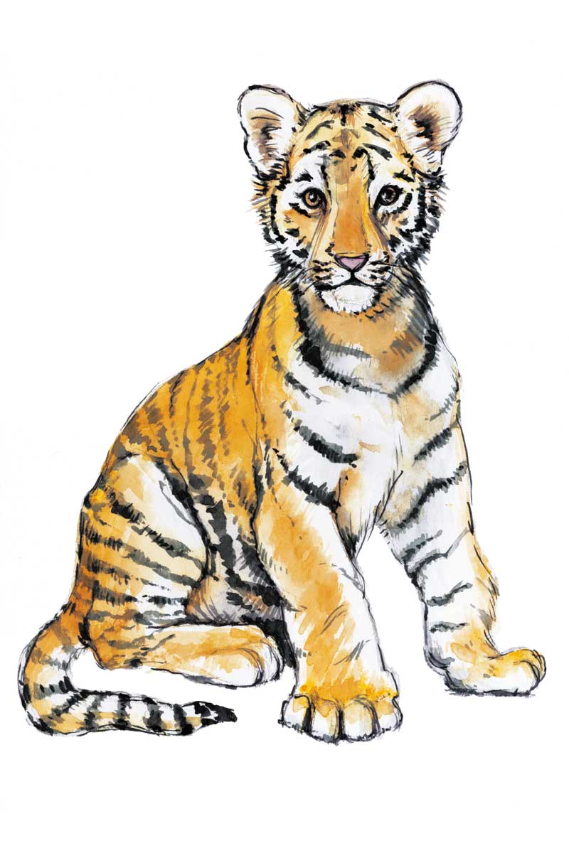 Baby Tiger by artist  Elena Markelova