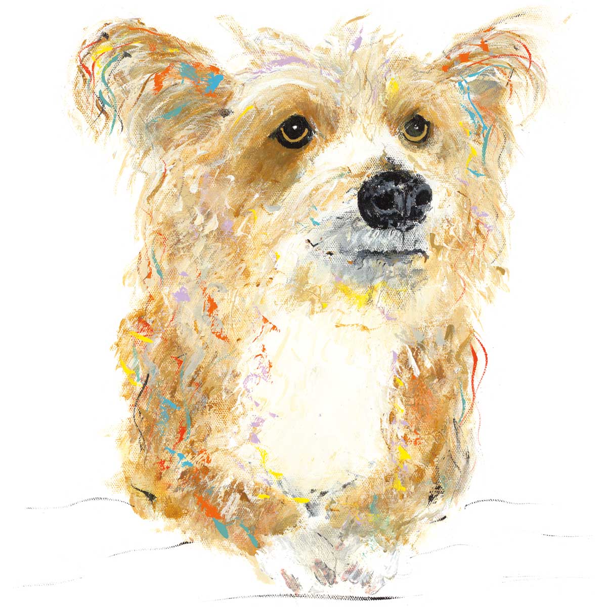 Scrappy by artist  Aziz Kadmiri