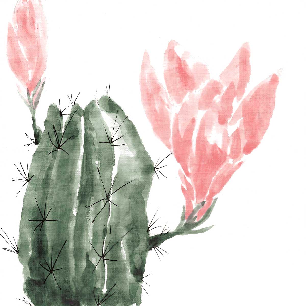 Prickly Bloom III by artist  Yvette St. Amant