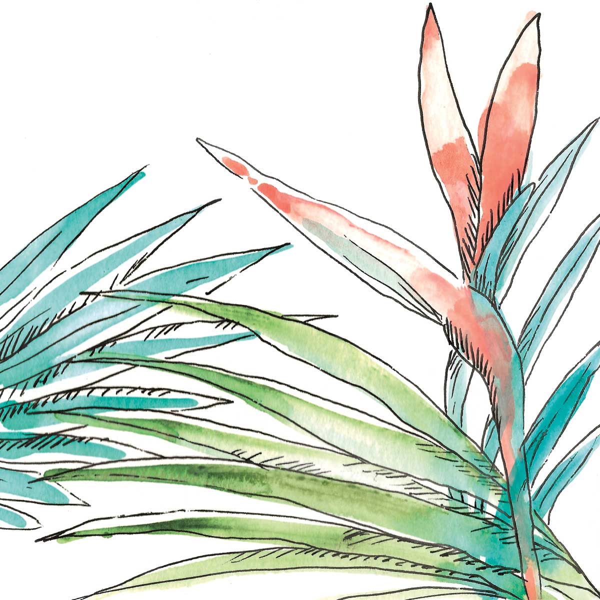 Blooms in Paradise II by artist  Yvette St. Amant