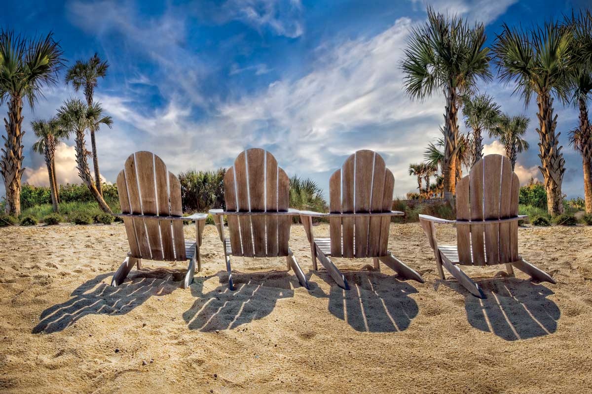 Shadow Play by artist  Celebrate Life Gallery