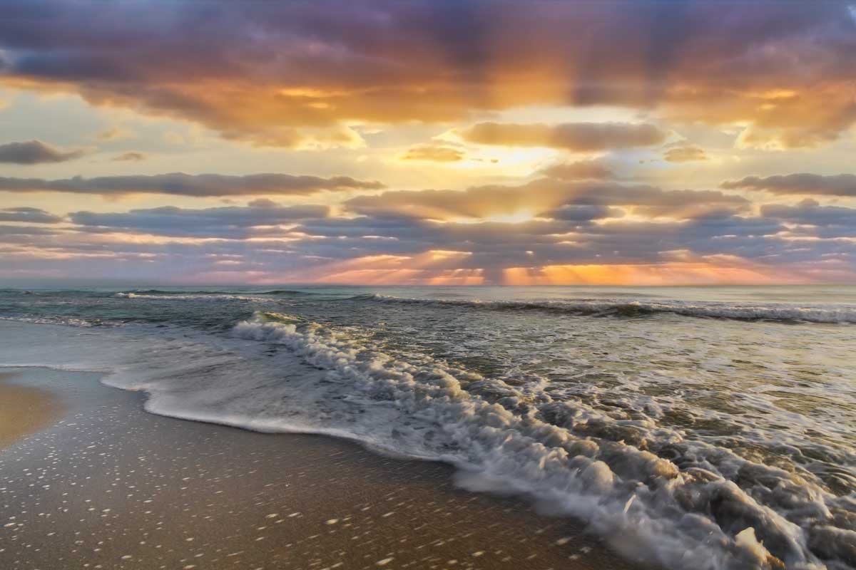 Morning by artist  Celebrate Life Gallery