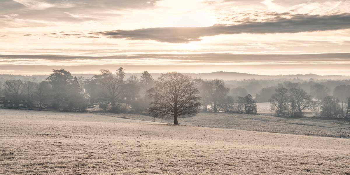 Sunrise Somewhere by artist  Assaf Frank