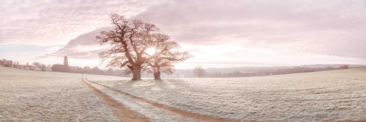 Soft Sunrise by artist  Assaf Frank