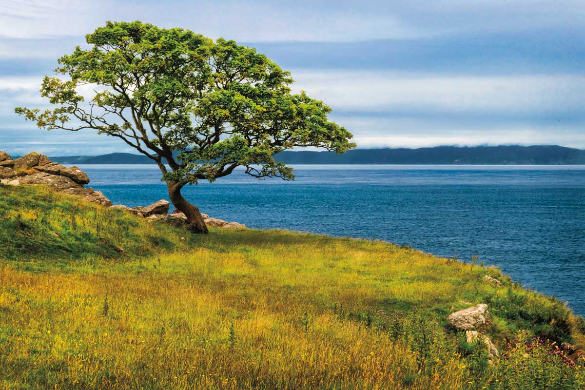 At Ocean's Edge by artist  D. Burt