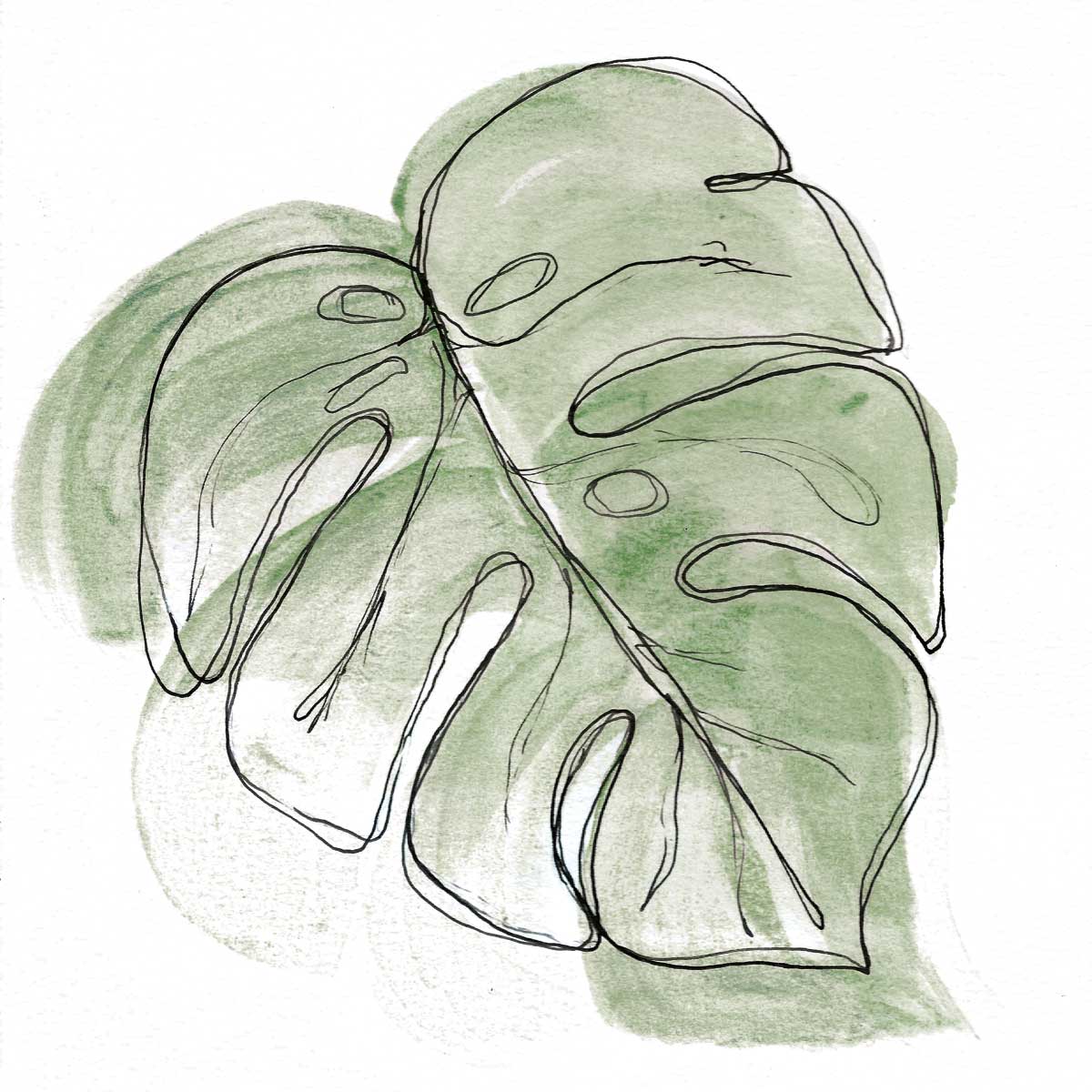 Monster Leaf Vert by artist  Yvette St. Amant