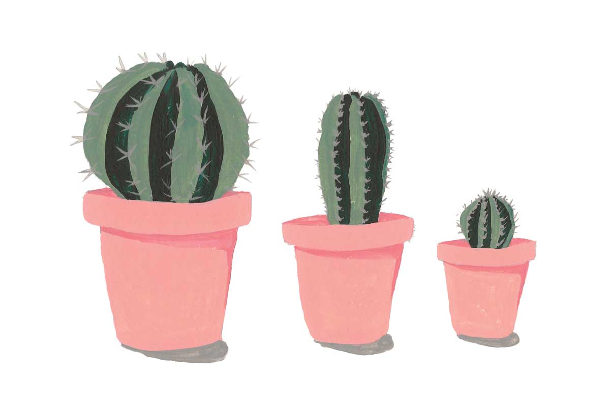 Boho Plants by artist  Yvette St. Amant