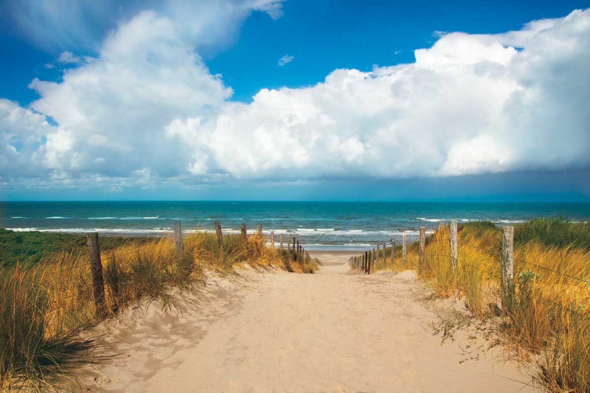 To the Beach by artist  Celebrate Life Gallery