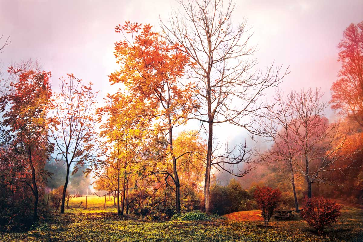 Smoky Mountain Picnic by artist  Celebrate Life Gallery