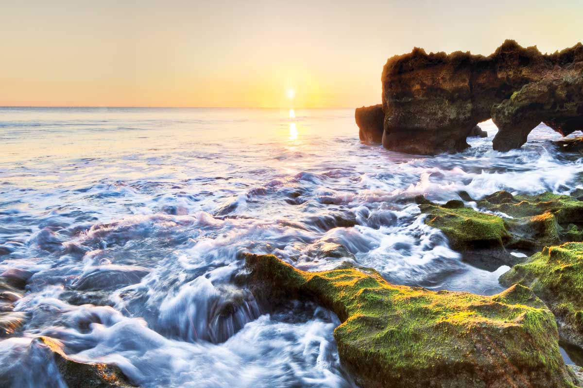 Coral Cascades by artist  Celebrate Life Gallery