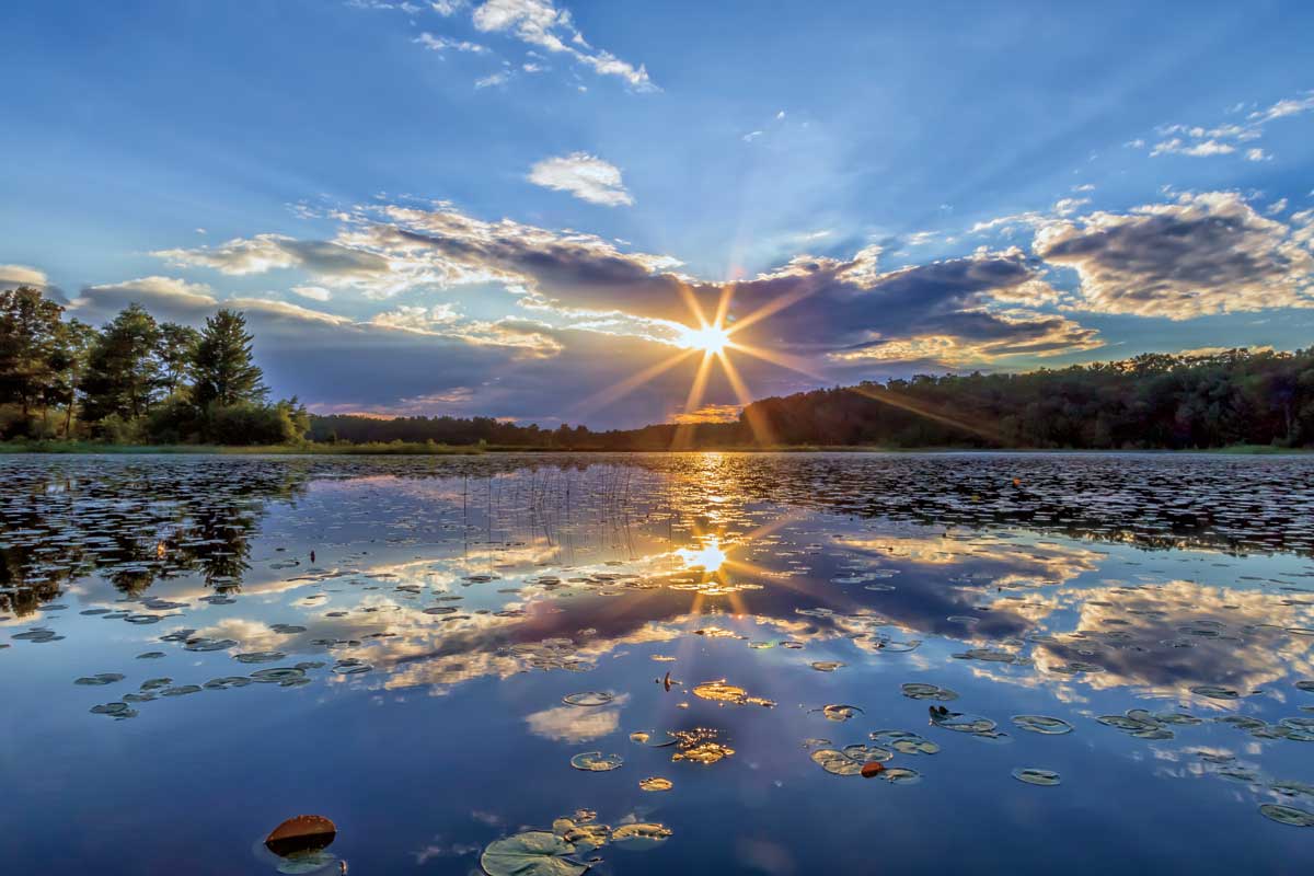 Ice by artist  Gail Howarth