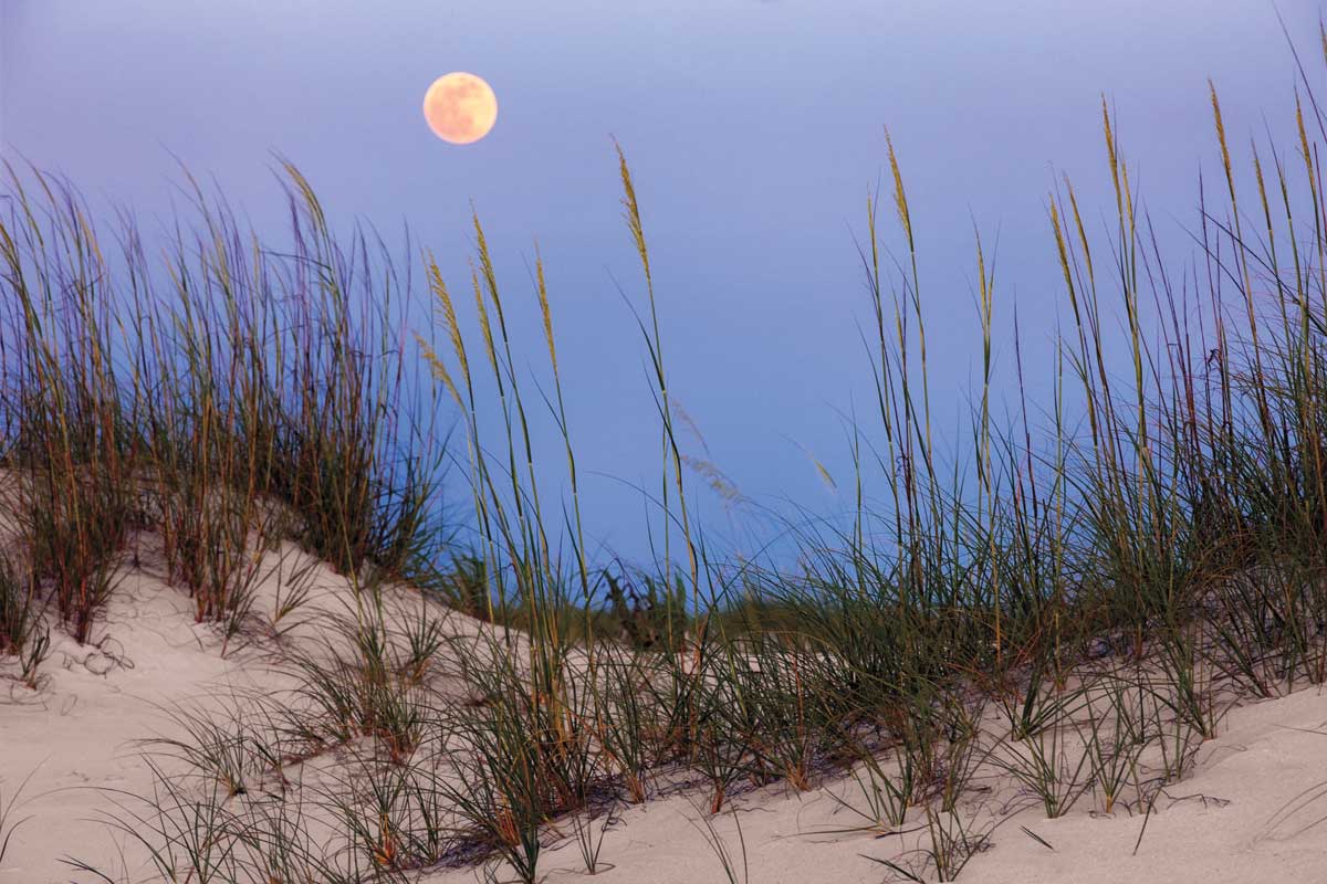 Seashore Moonrise by artist  Mike Jones