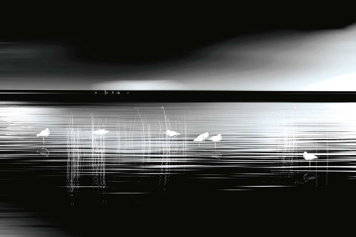 First Light by artist  Marvin Pelkey