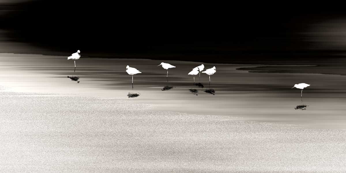 Social by artist  Marvin Pelkey