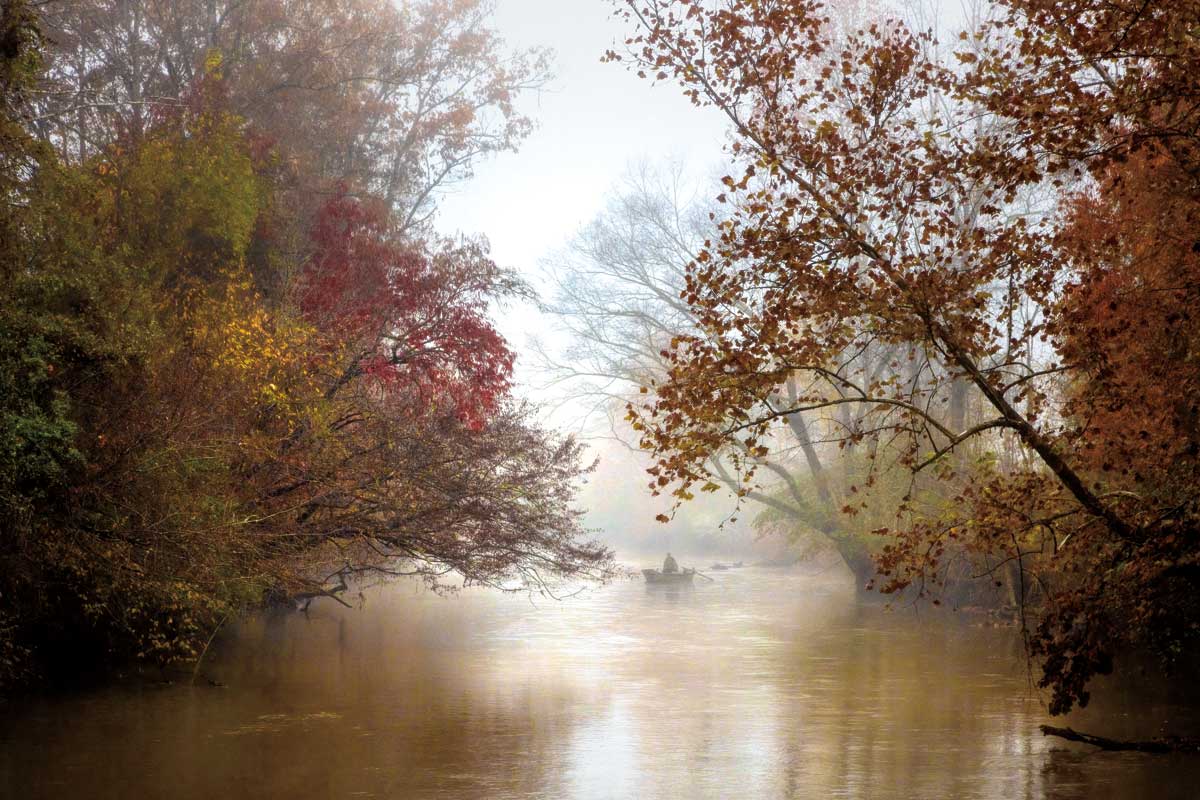 Into the Mist of Autumn by artist  Celebrate Life Gallery