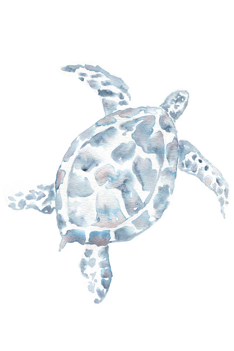 Beach Sea Turtle by artist  Yvette St. Amant