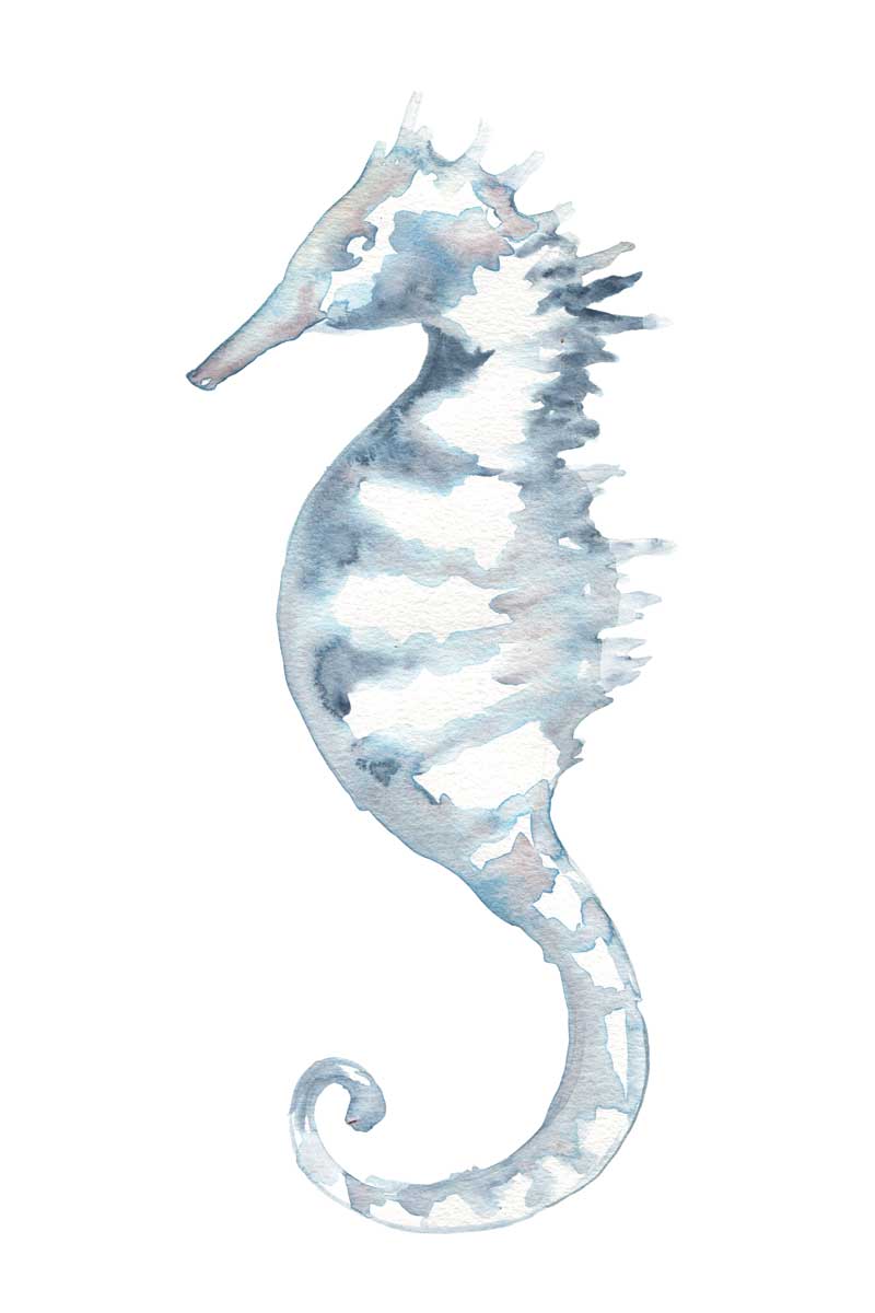 Beach Sea Horse by artist  Yvette St. Amant