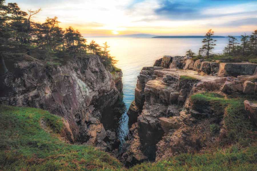 Raven's Nest by artist  D. Burt