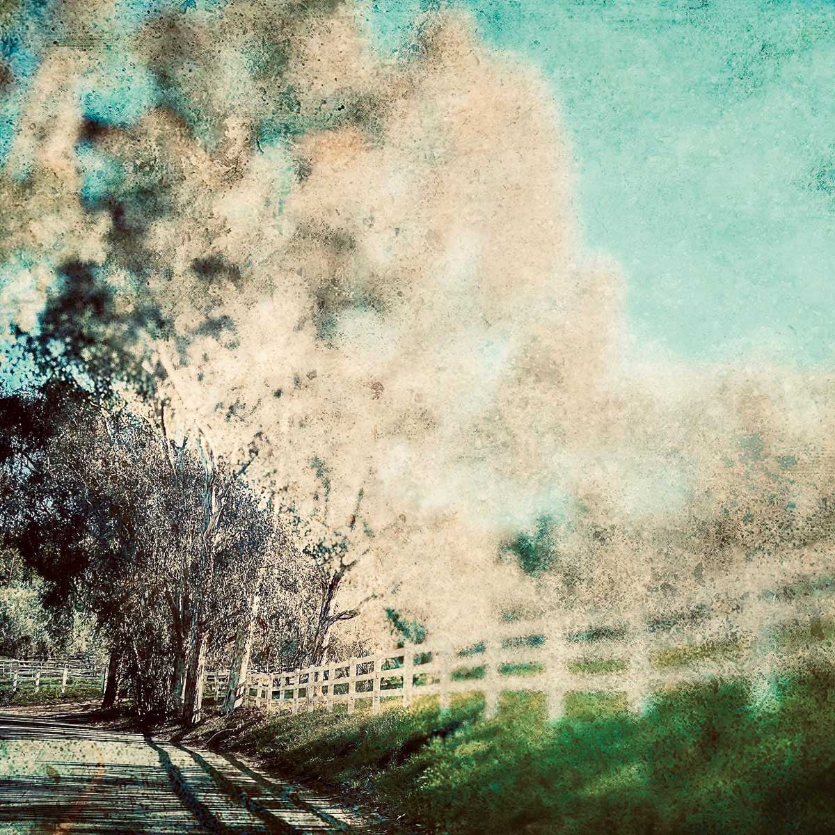 Country Road Home by artist  Marina Drasnin