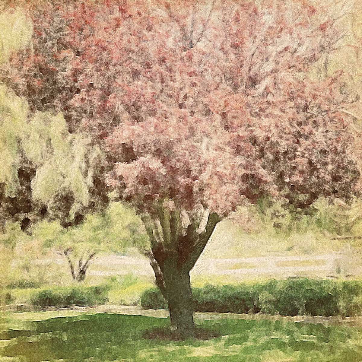 Pearly's Peach Tree by artist  Marina Drasnin