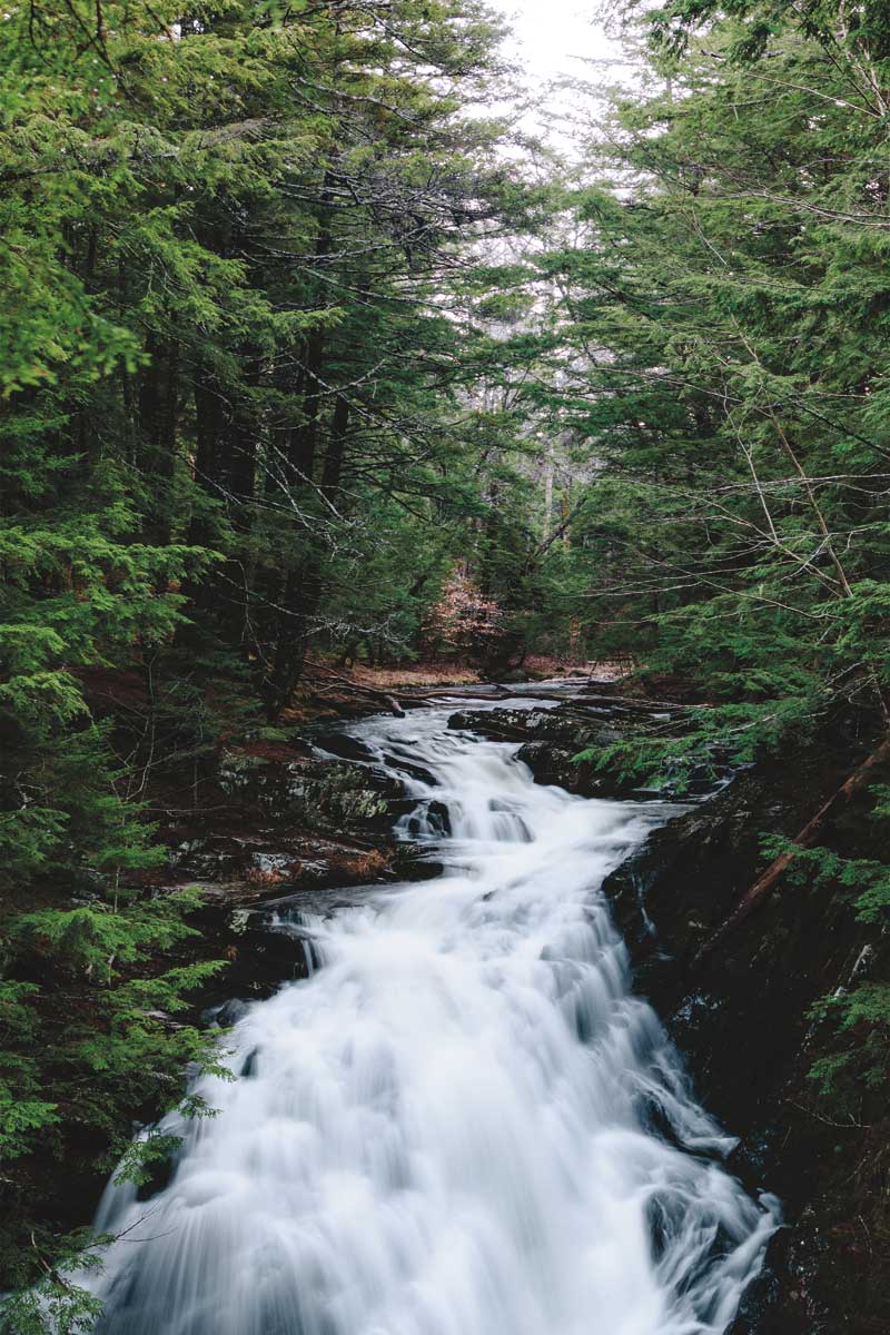 Endless Cascade by artist  Sean Greenough