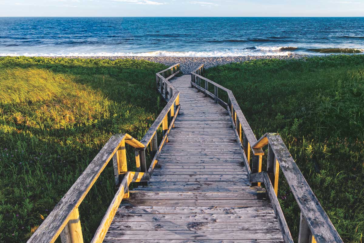 The Way to the Waves by artist  Sean Greenough