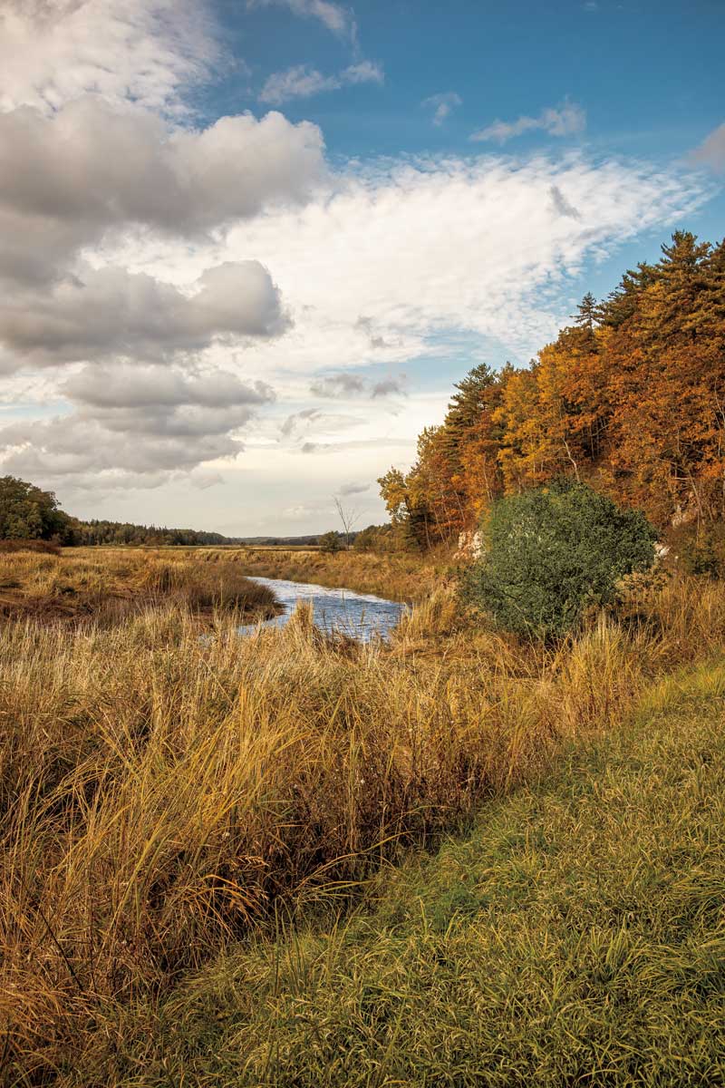 Country Dreaming by artist  Sean Greenough