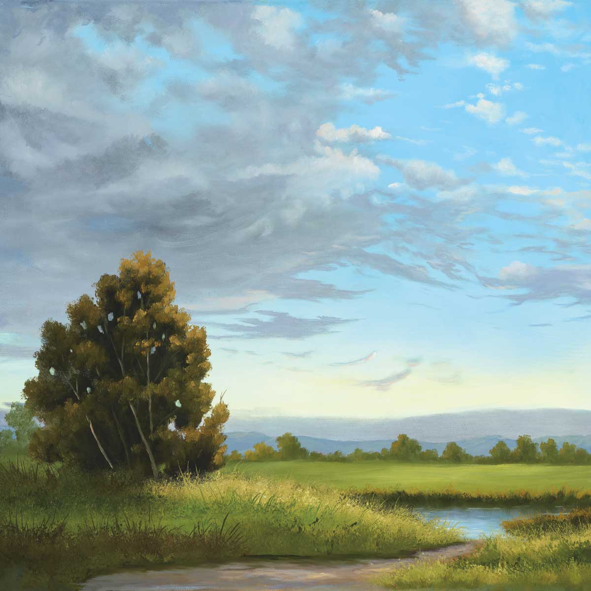 Clouds Are Moving by artist  Julie Peterson