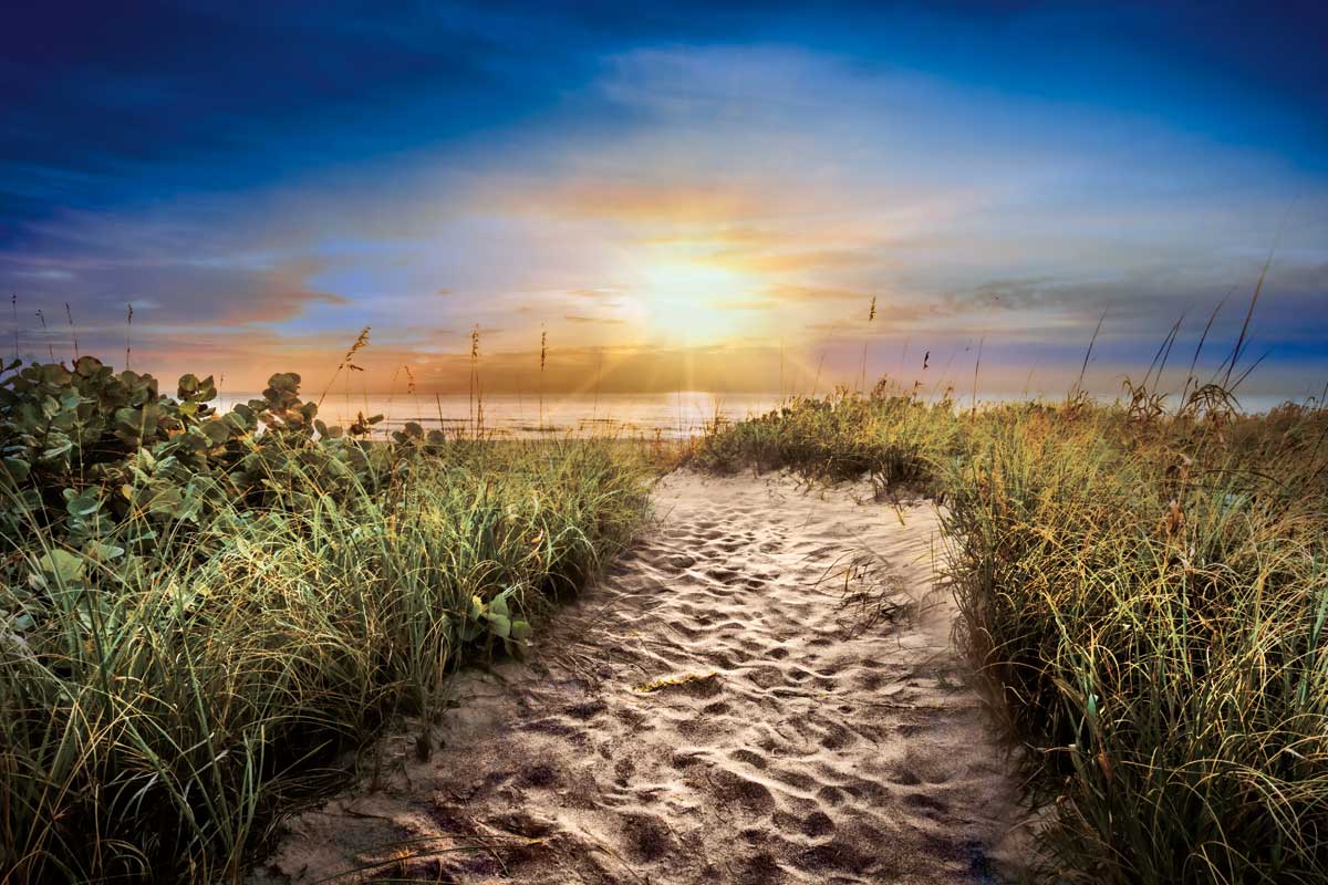 Dune Trail in Sunrise by artist  Celebrate Life Gallery